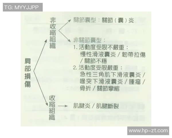 米体分析弗拉霍维奇与佩林小腿伤情初步评估为不严重情况