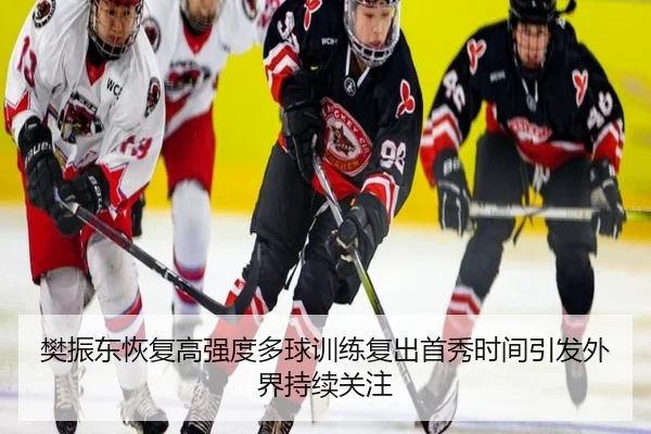 樊振东恢复高强度多球训练复出首秀时间引发外界持续关注